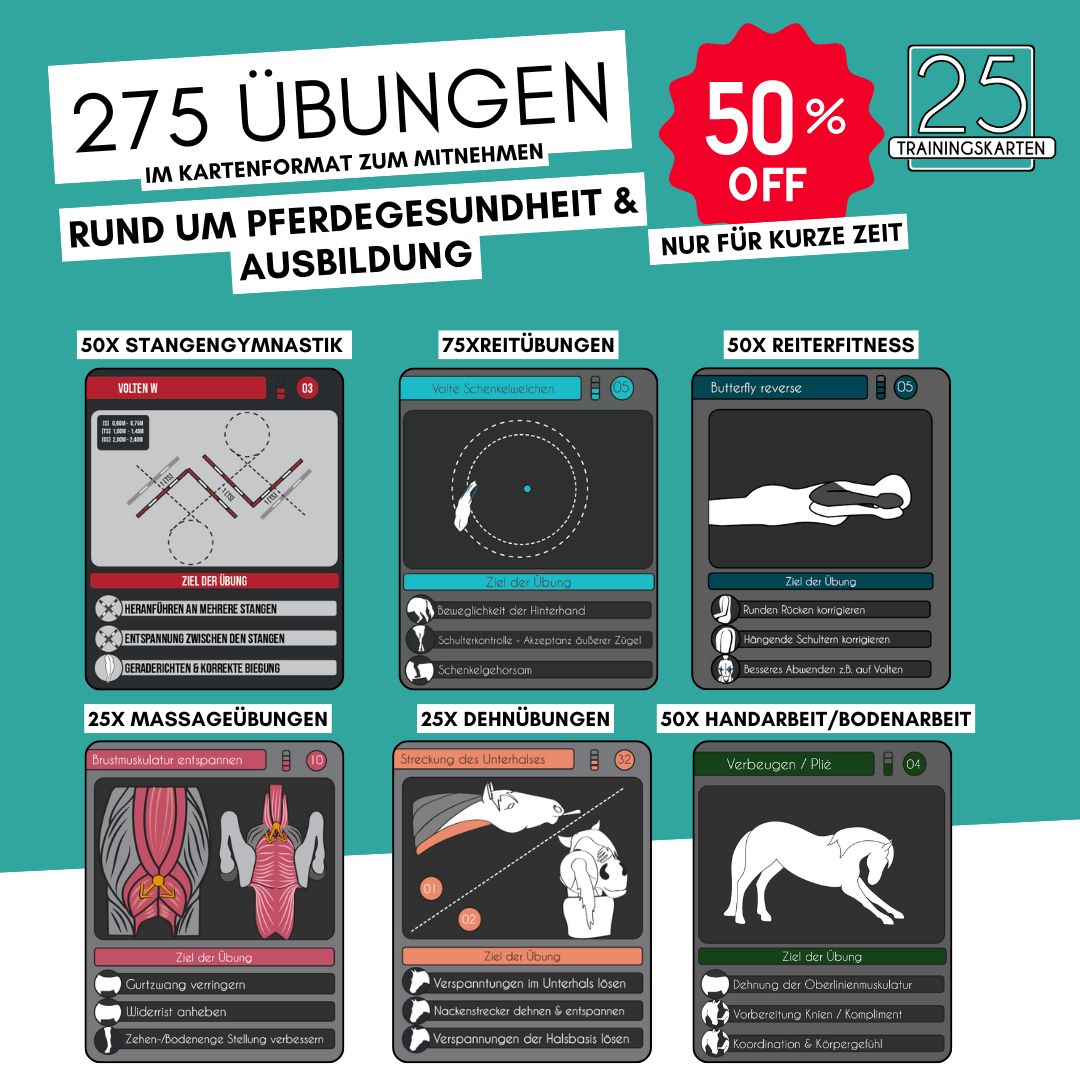 275 bungen_(1)
