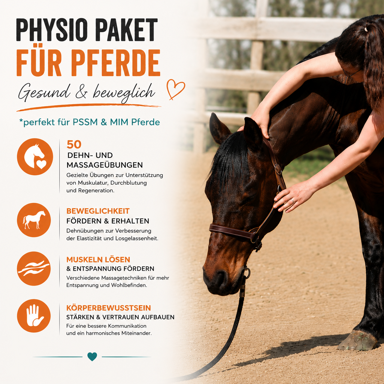 Physio-Paket für Pferde | 50 Dehn- & Massageübungen