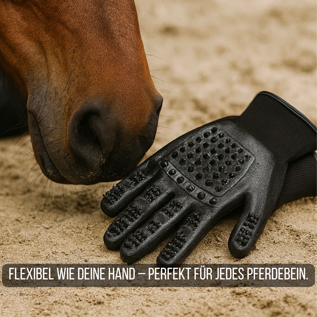 Grooming-Handschuh (für Pferde, Hunde & Katzen) 
