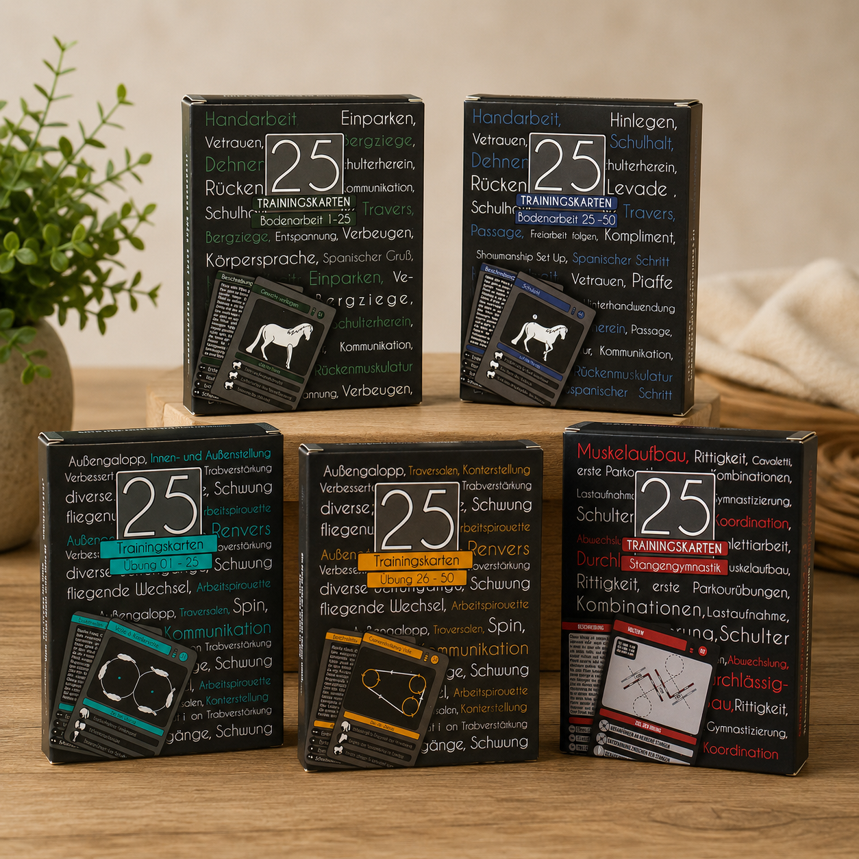 Muskelaufbau BUNDLE