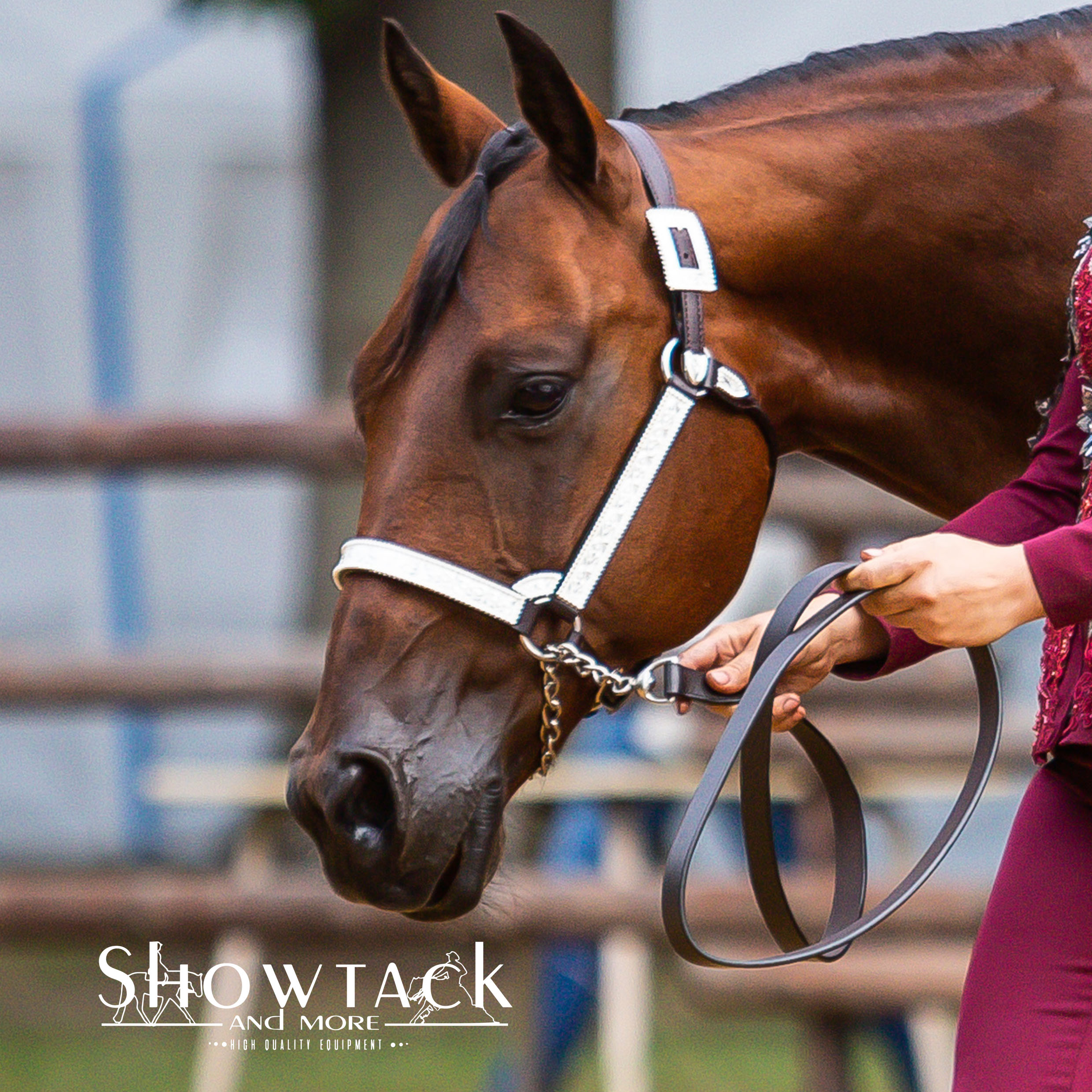 Highlighter Showtack Pferdeschminke Grooming Showmanship