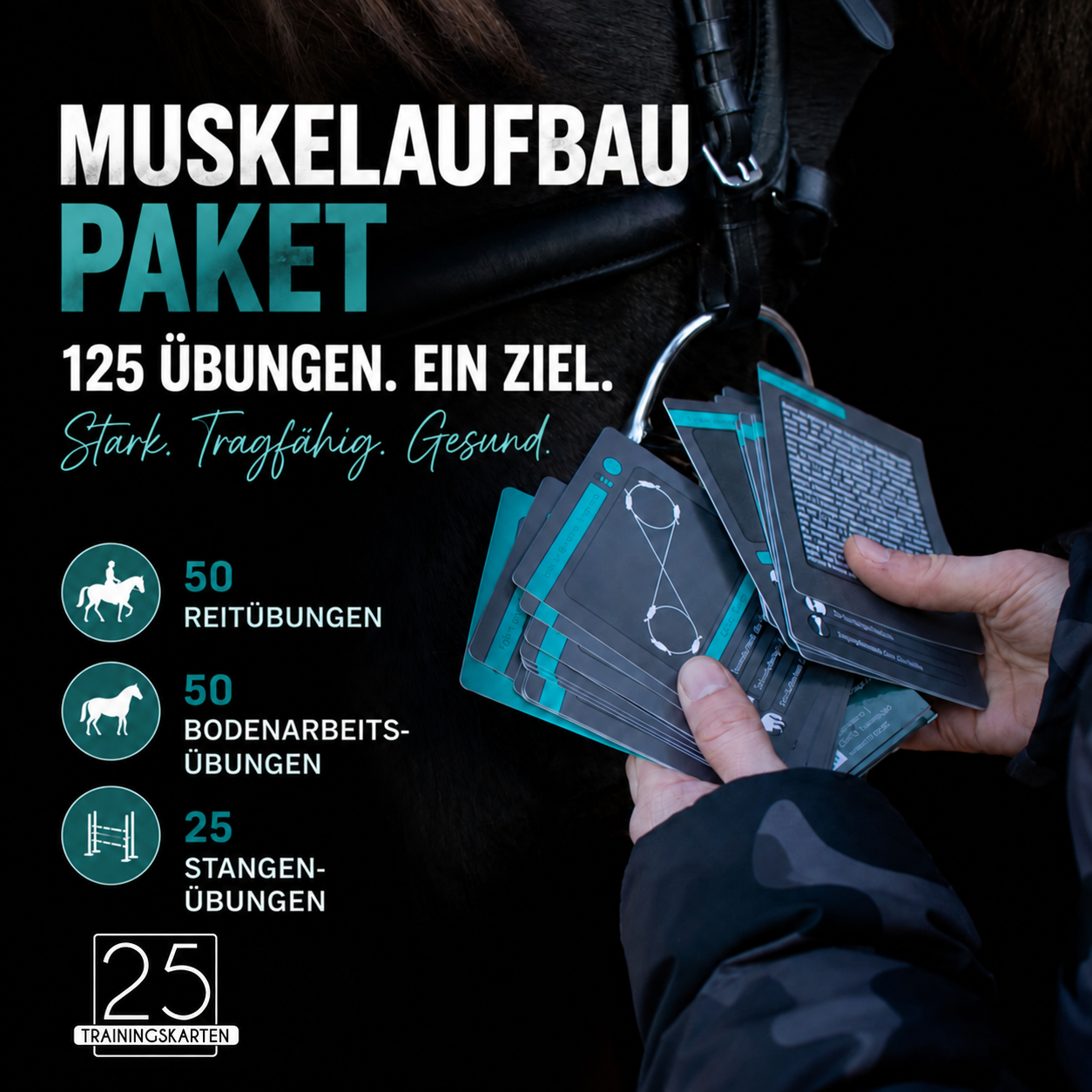 Muskelaufbau BUNDLE