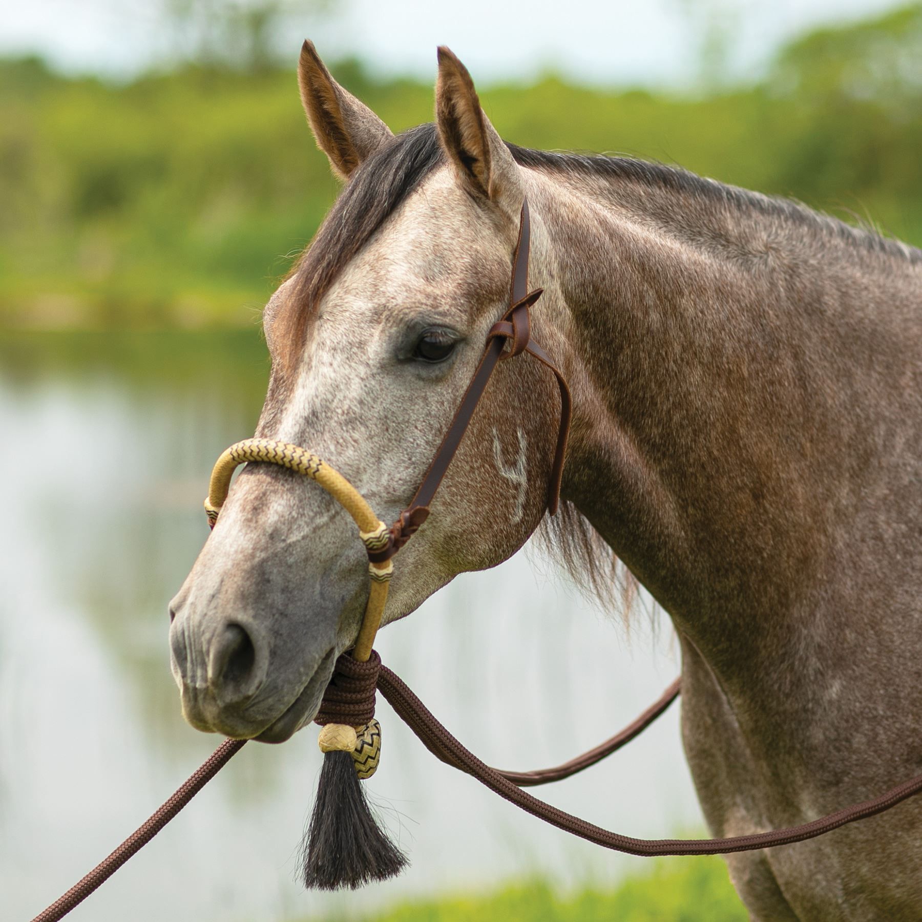 Bosal Hanger Knotted