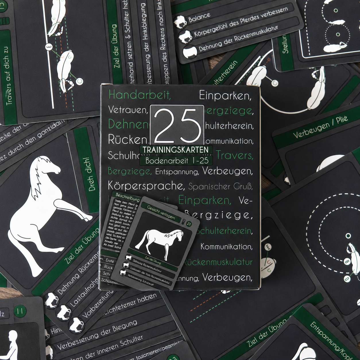 Muskelaufbau BUNDLE