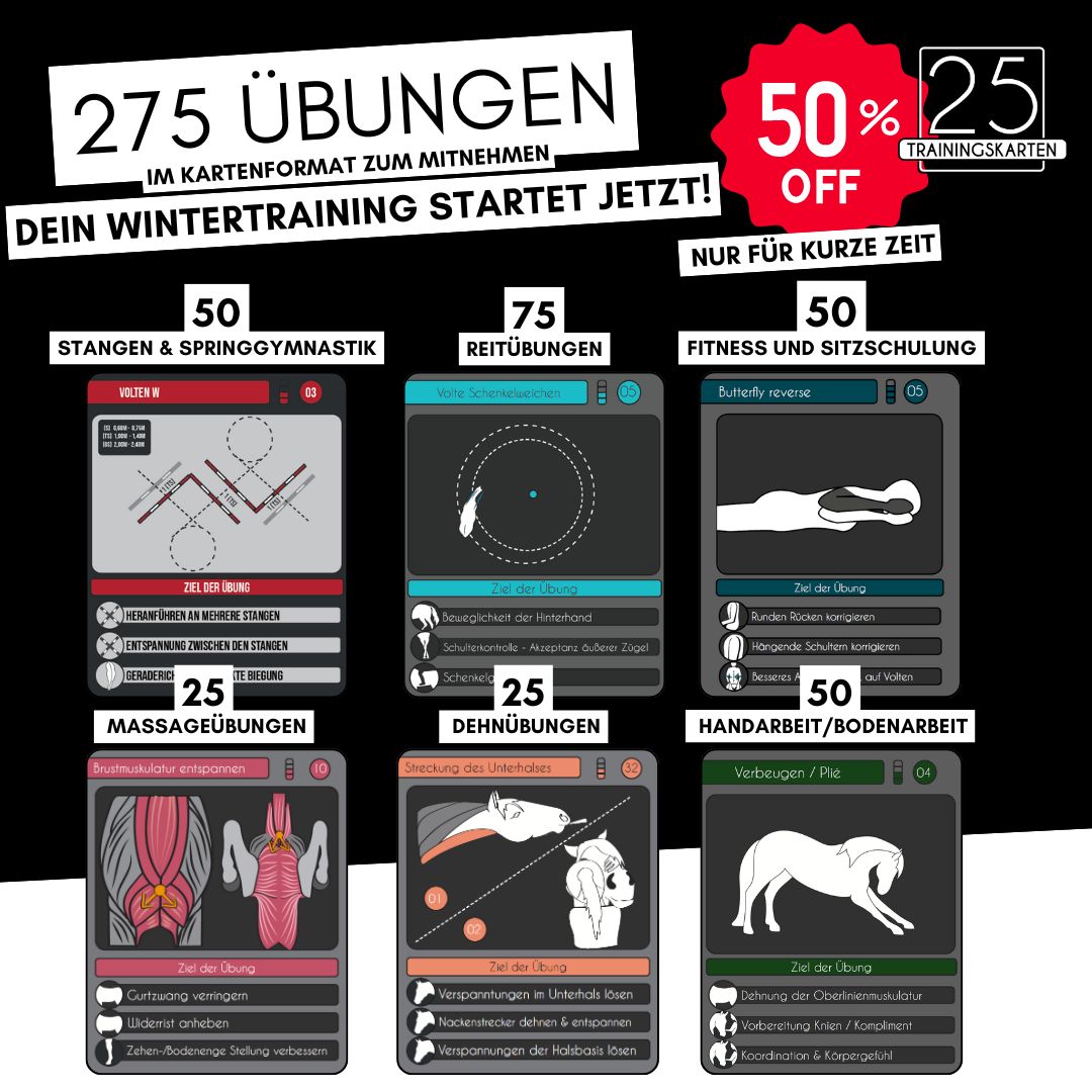 PferdeFit - Umfassendes Trainingsset
