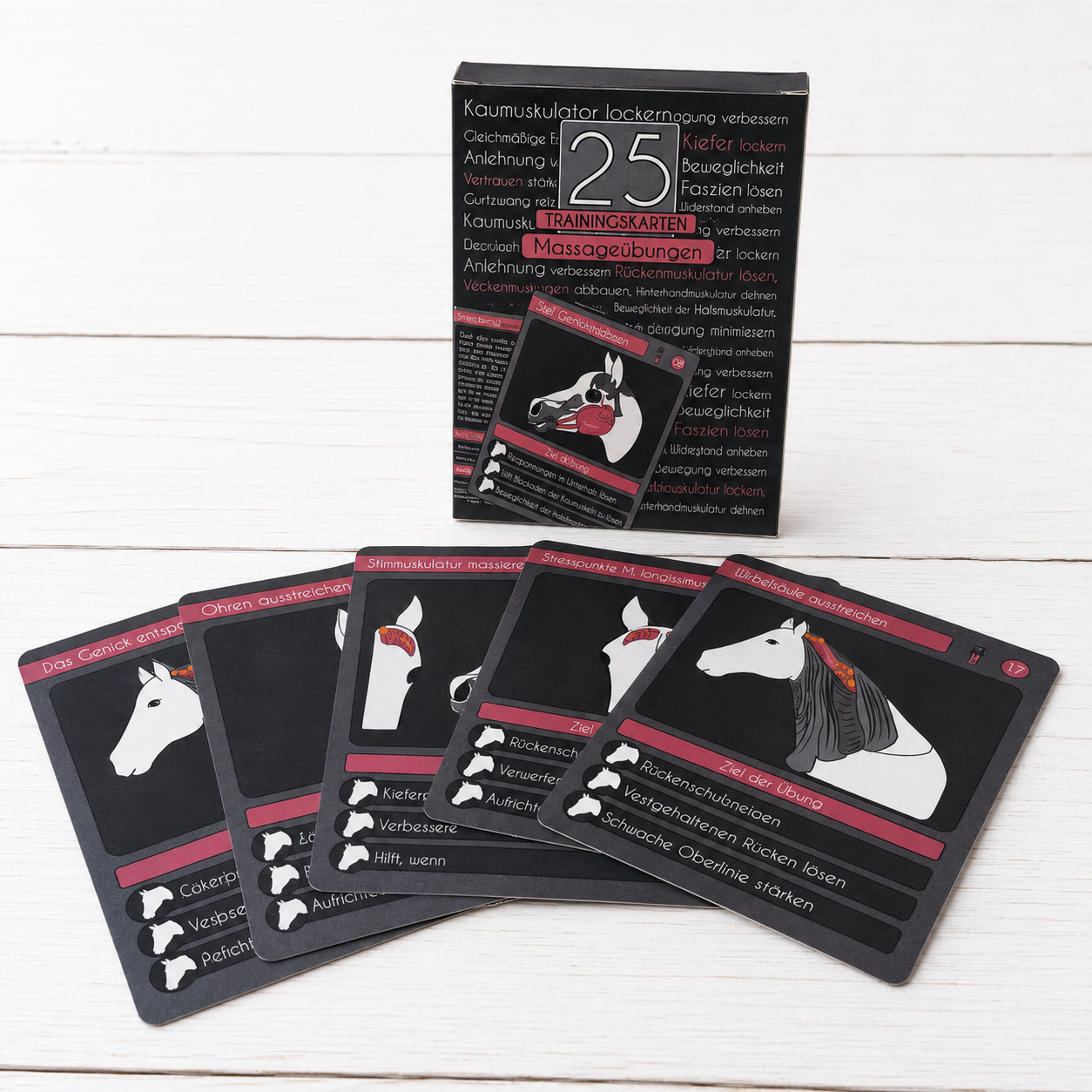 Physio-Paket für Pferde | 50 Dehn- & Massageübungen