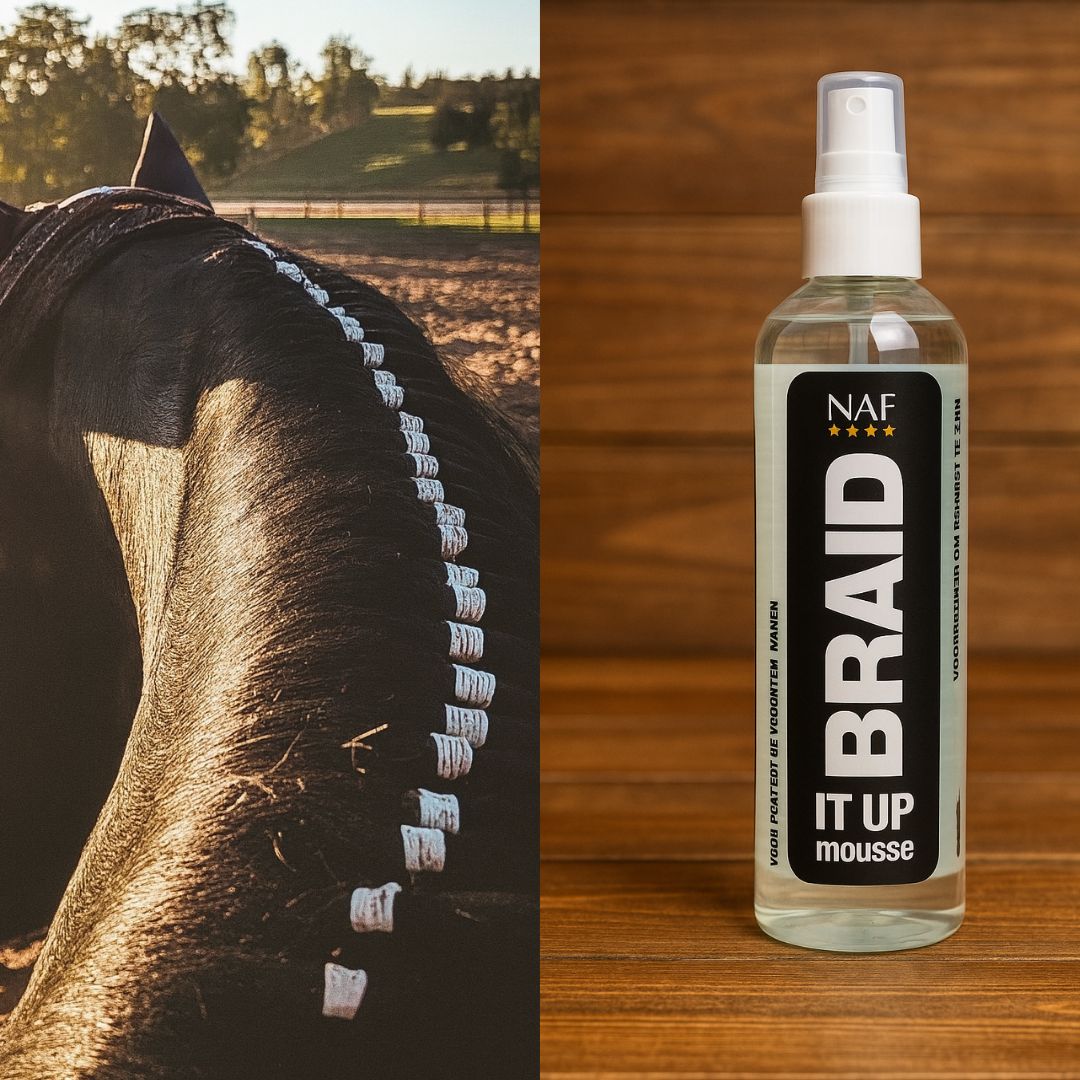 Easy Braid / Braid it Up