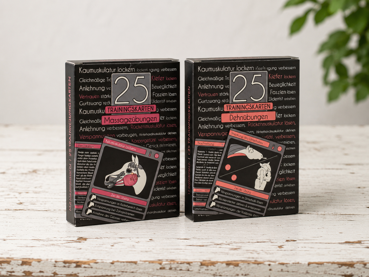 Physio-Paket für Pferde | 50 Dehn- & Massageübungen
