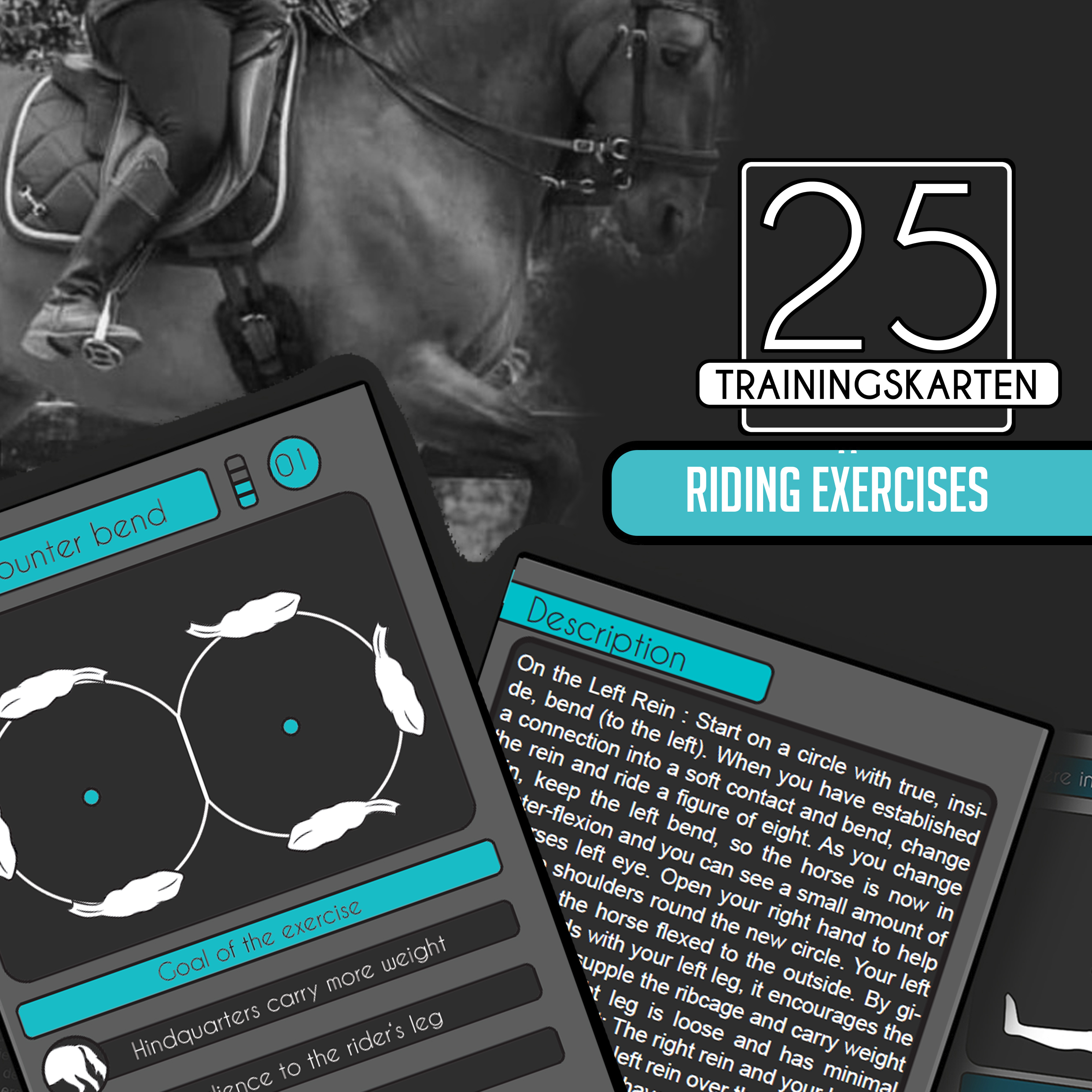 Reitübungen - 25 Trainingscards