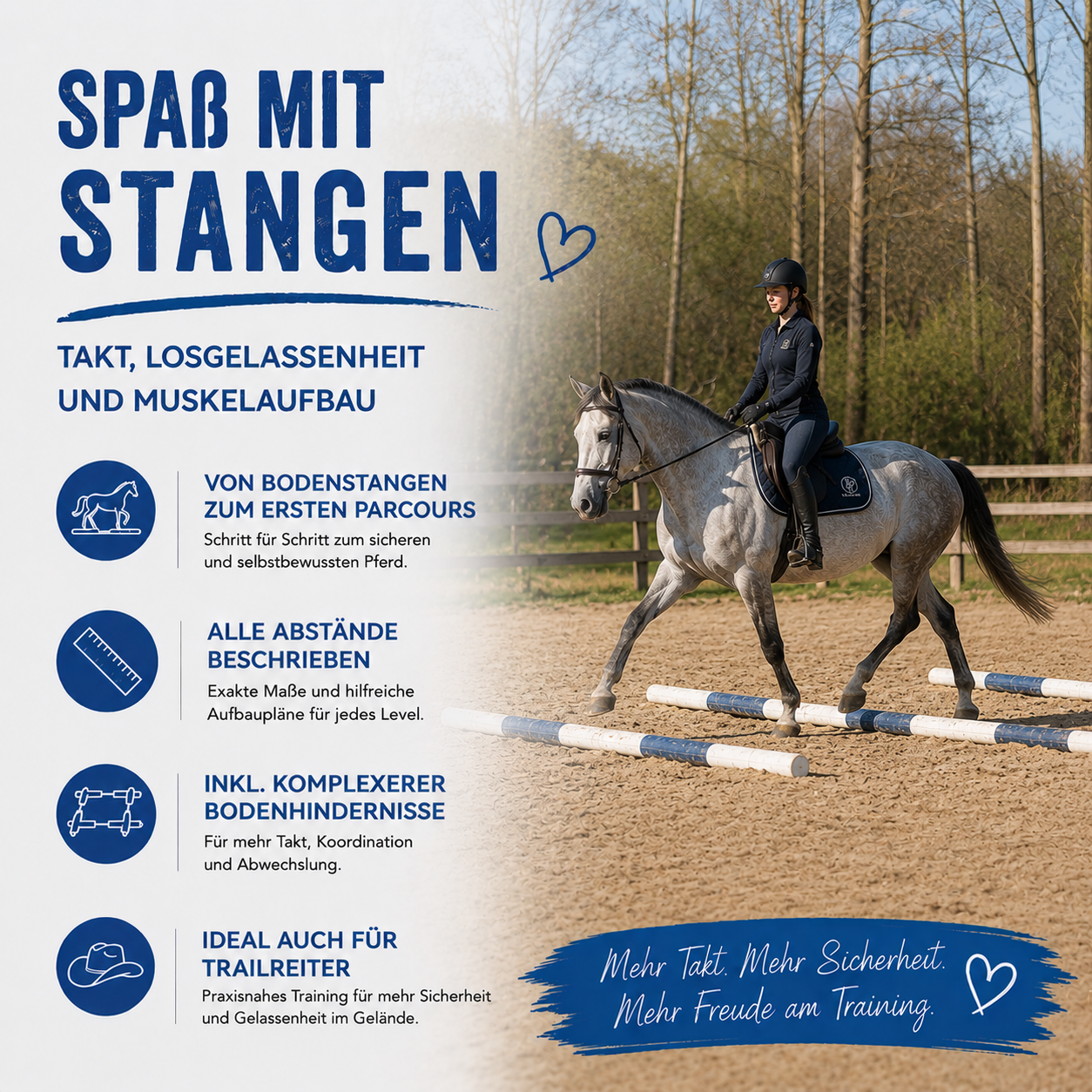 Stangenpaket für Pferde | 50 Übungen mit Stangen & Cavaletti