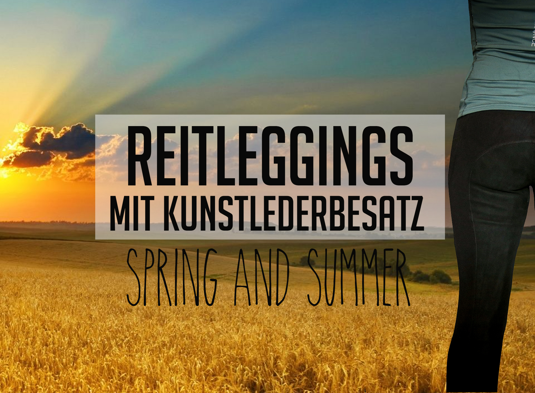 Reitleggings Kunstleder Sommer Vollbesatz