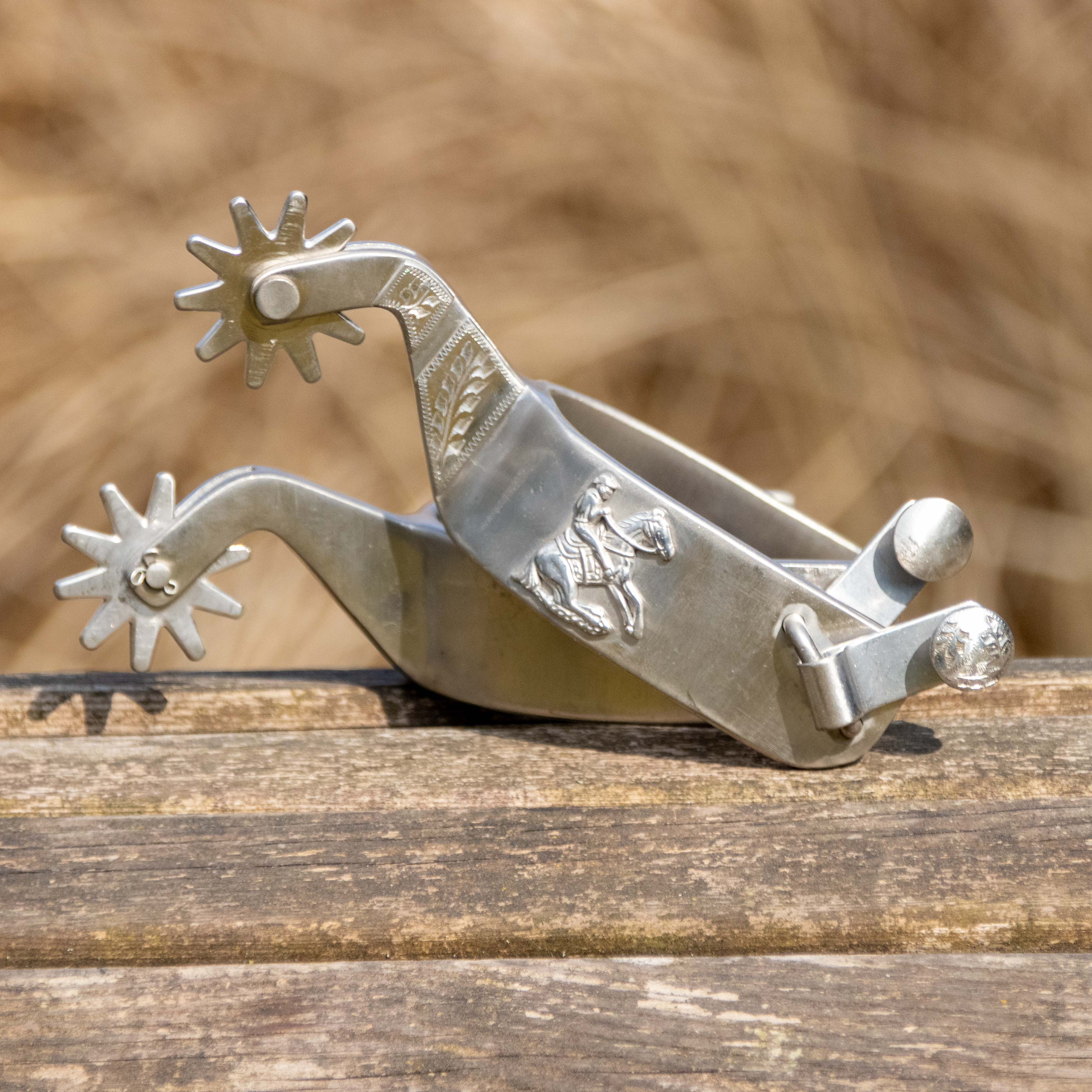 Western Sporen Silber Reiner