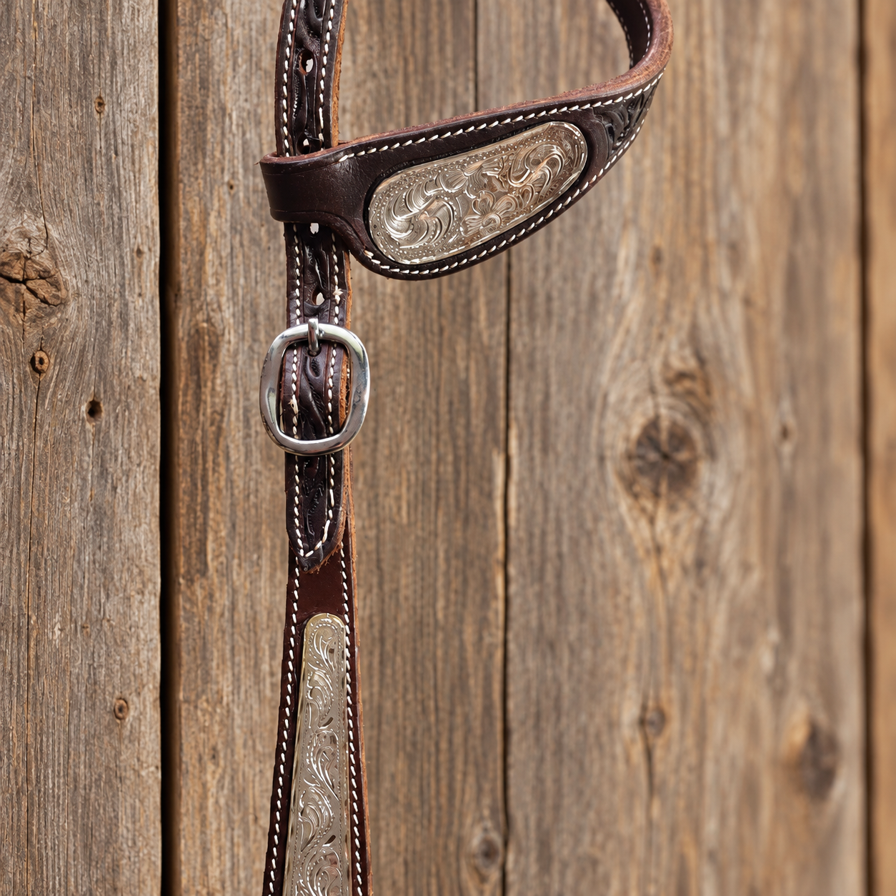 Zweiohr-Showtrense Two Ear Silver