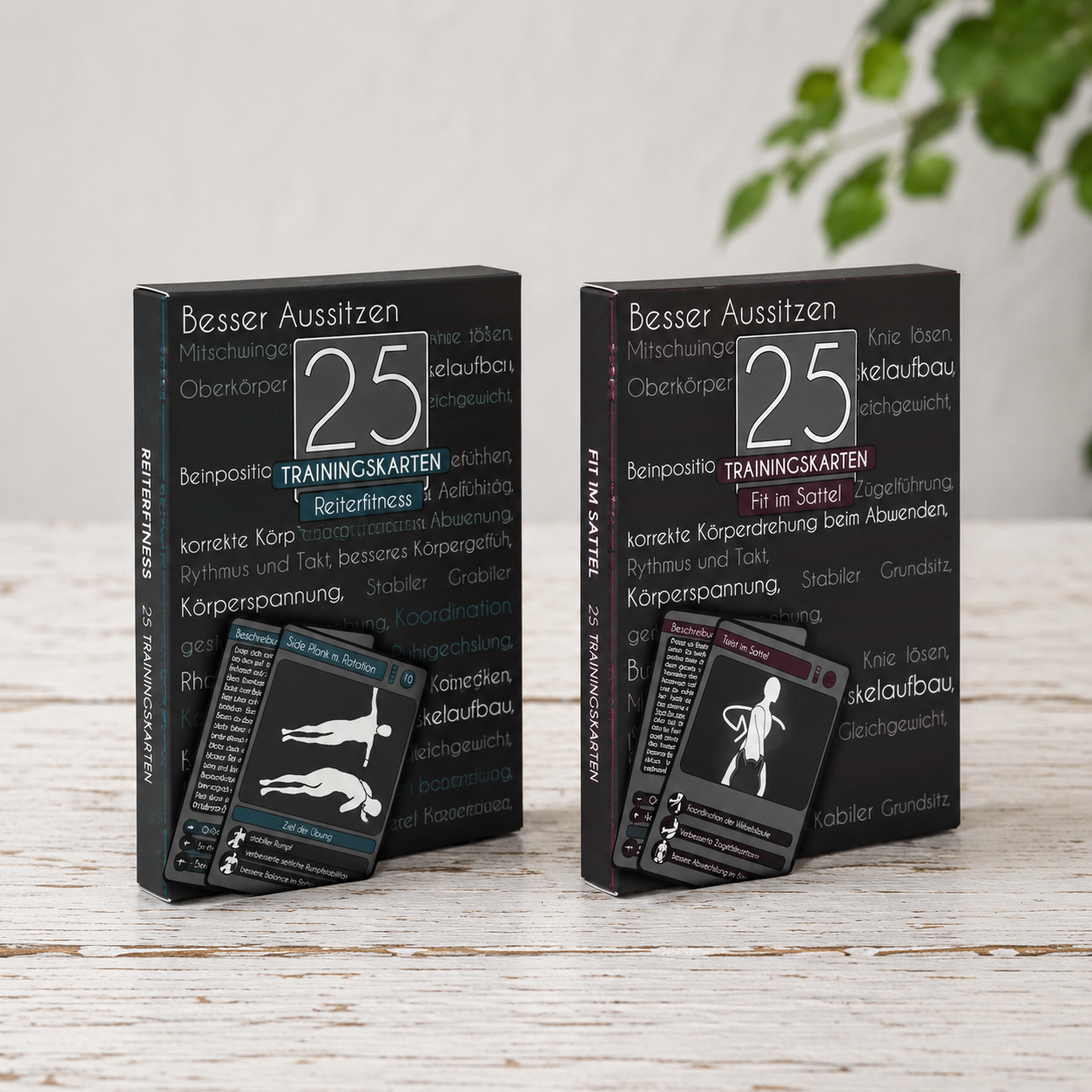 Reiterfitness & Sitzschulung