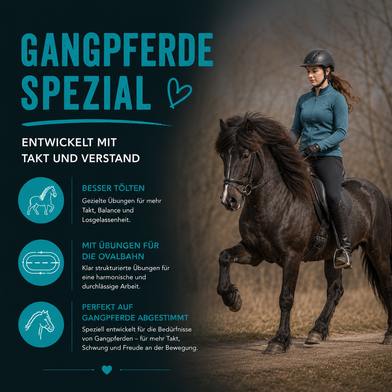 Gangpferde Spezial | 50 Übungen für Tölt, Pass & Balance