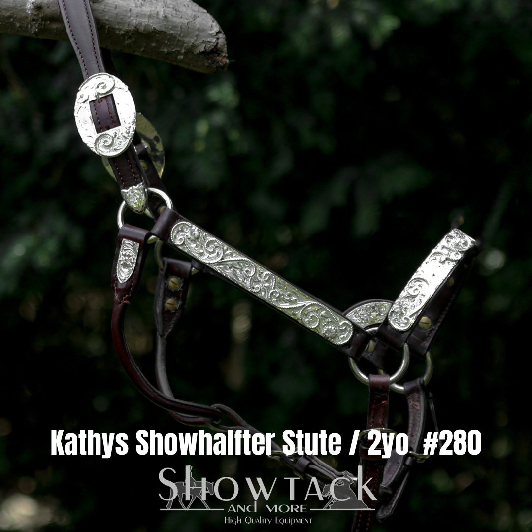 Kathys Showhalfter #285 2yo