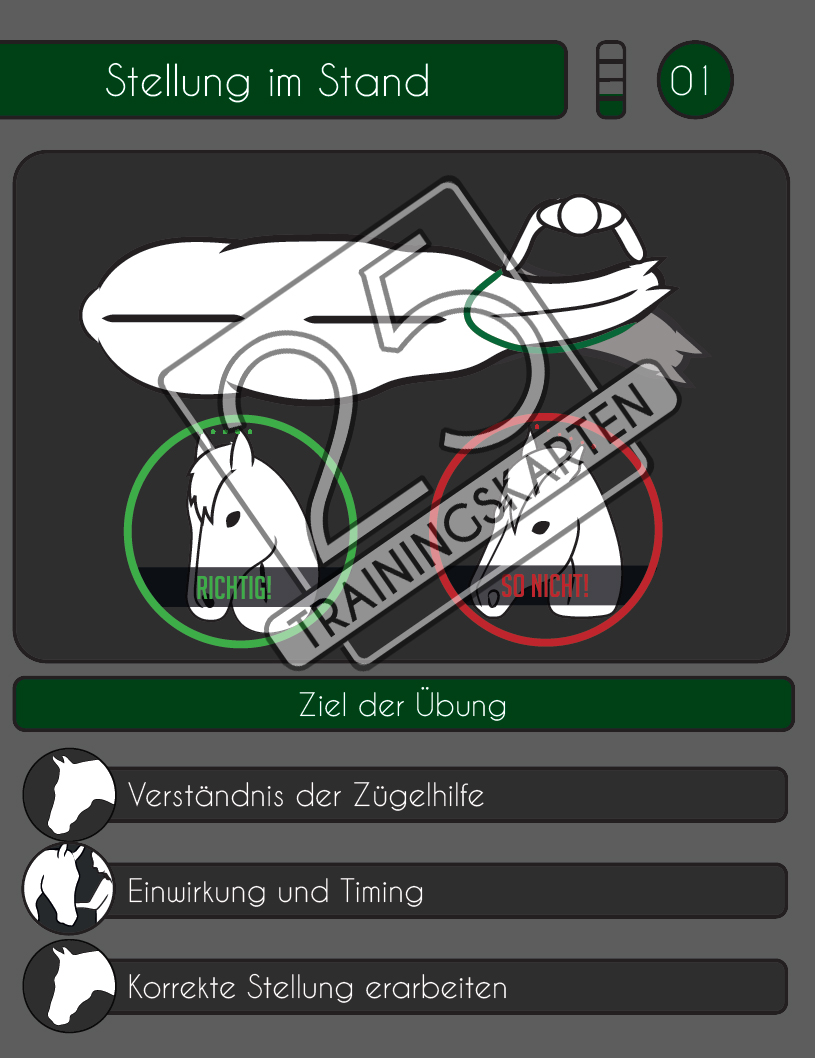 PferdeFit - Umfassendes Trainingsset