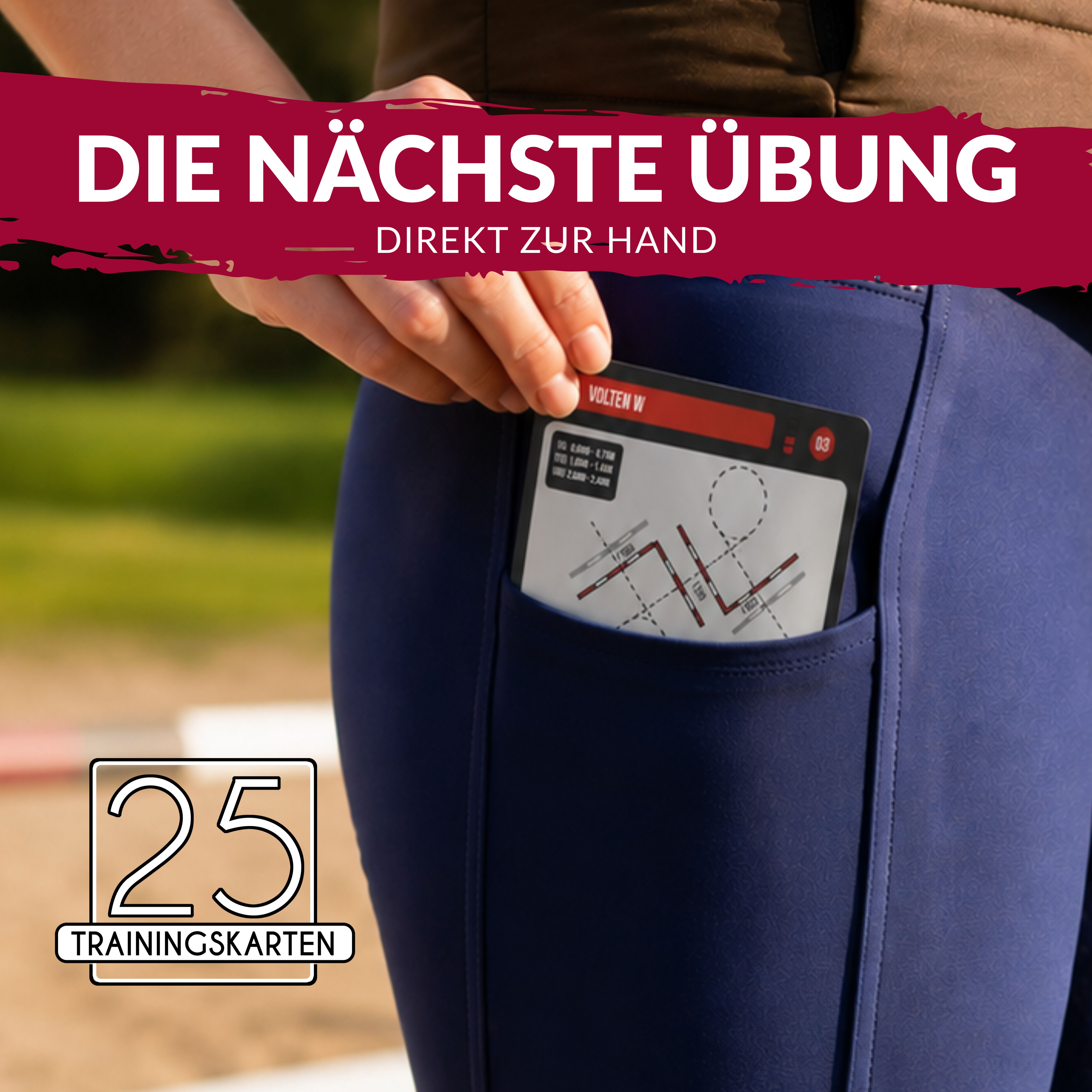 Rundum Gesund - PferdeFit- 225 Übungen für ein Rundum gesundes Pferd
