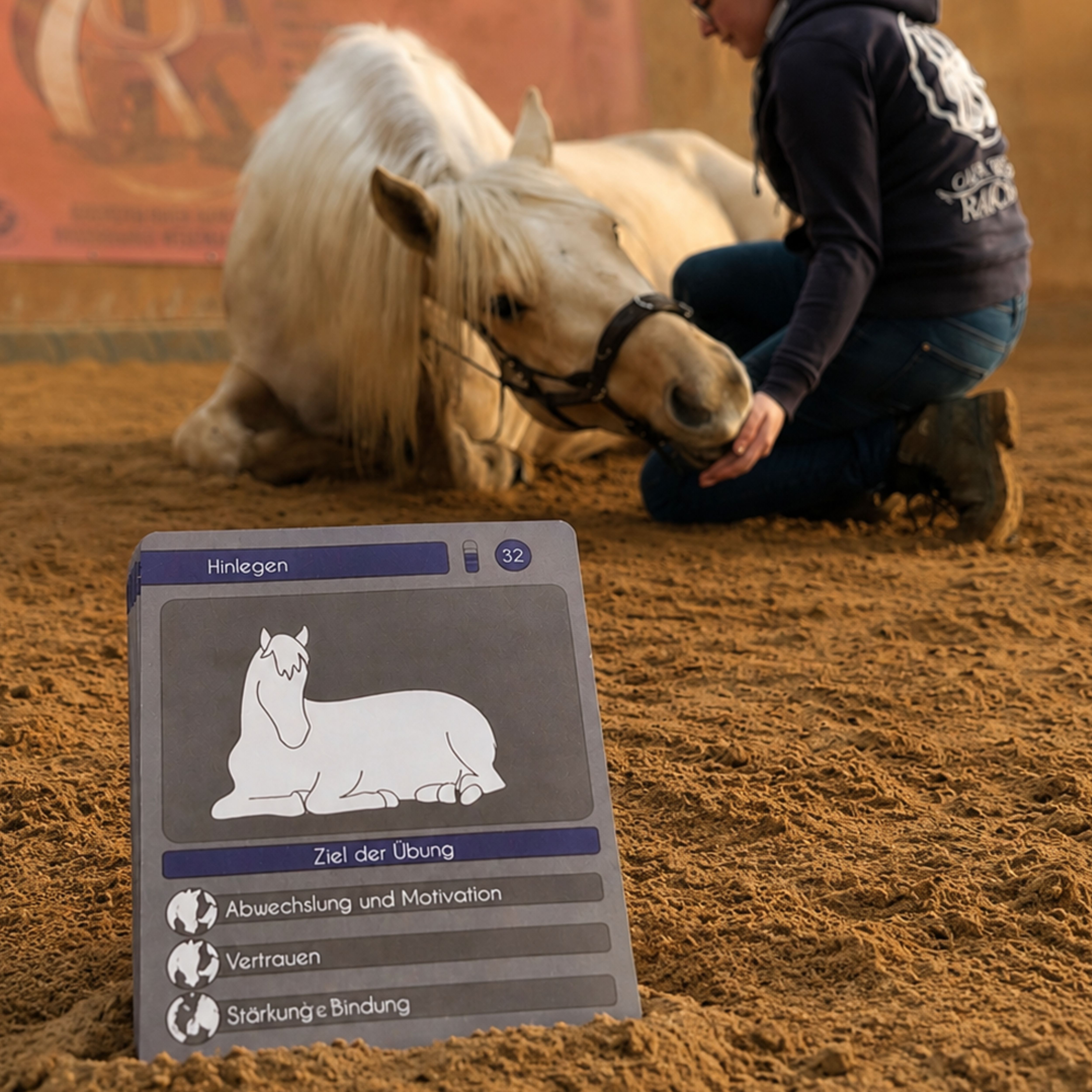 Rundum Gesund - PferdeFit- 225 Übungen für ein Rundum gesundes Pferd