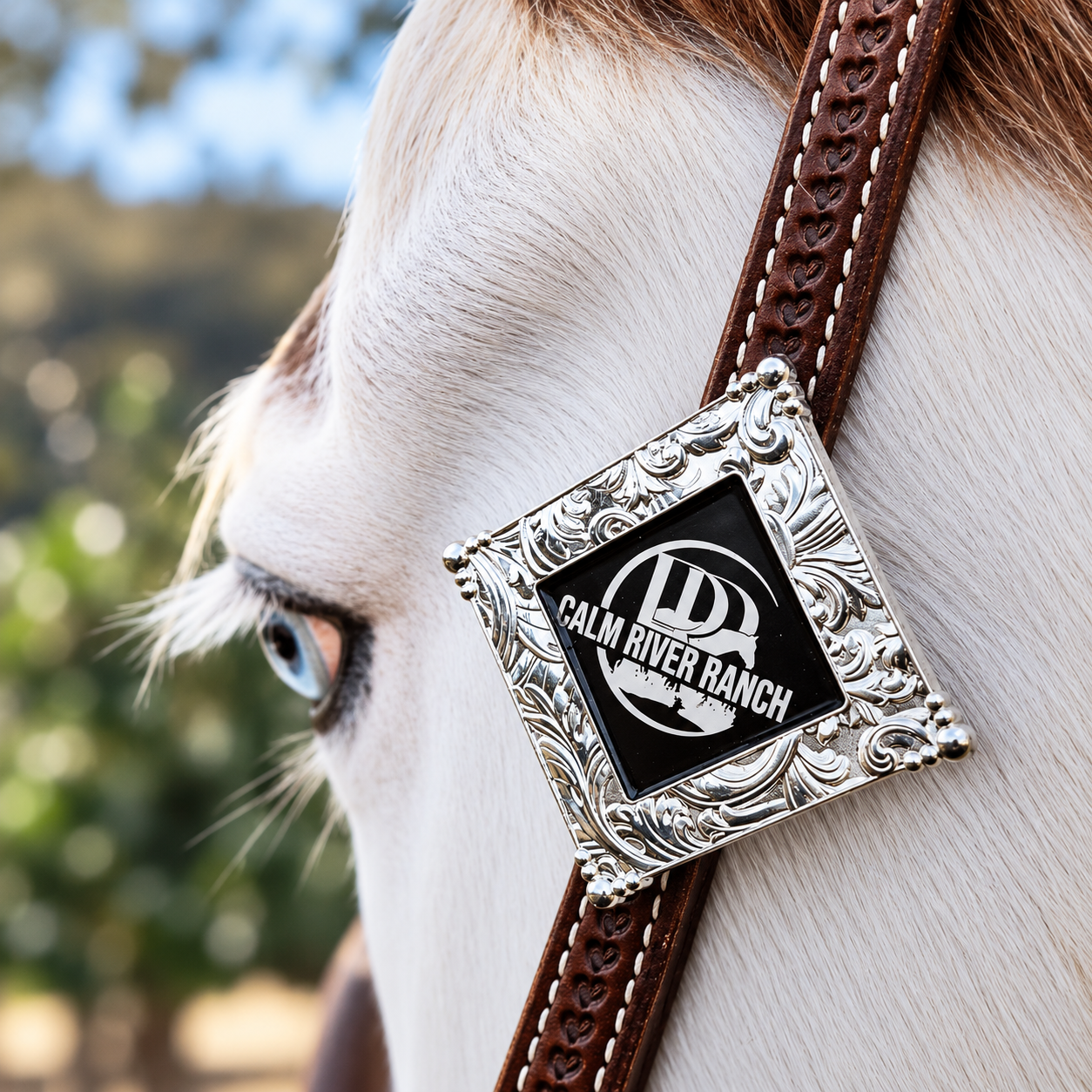 Custom Made Square Schnalle Silber