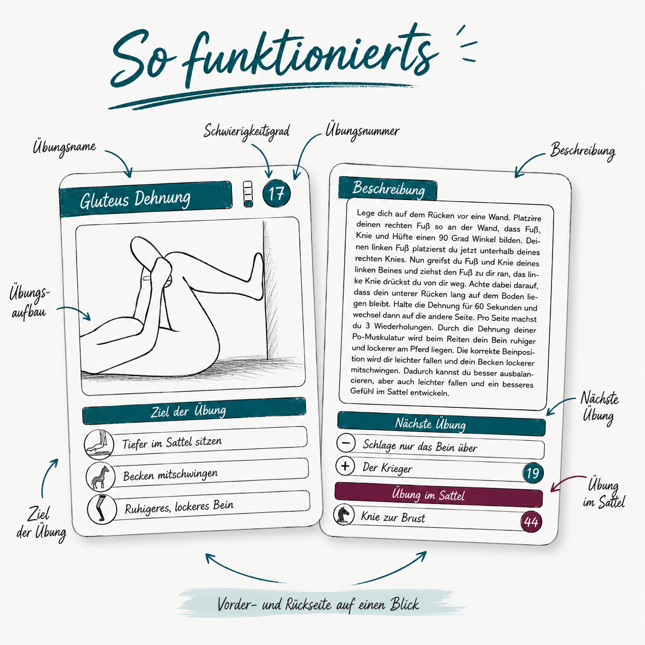 Reiterfitness & Sitzschulung