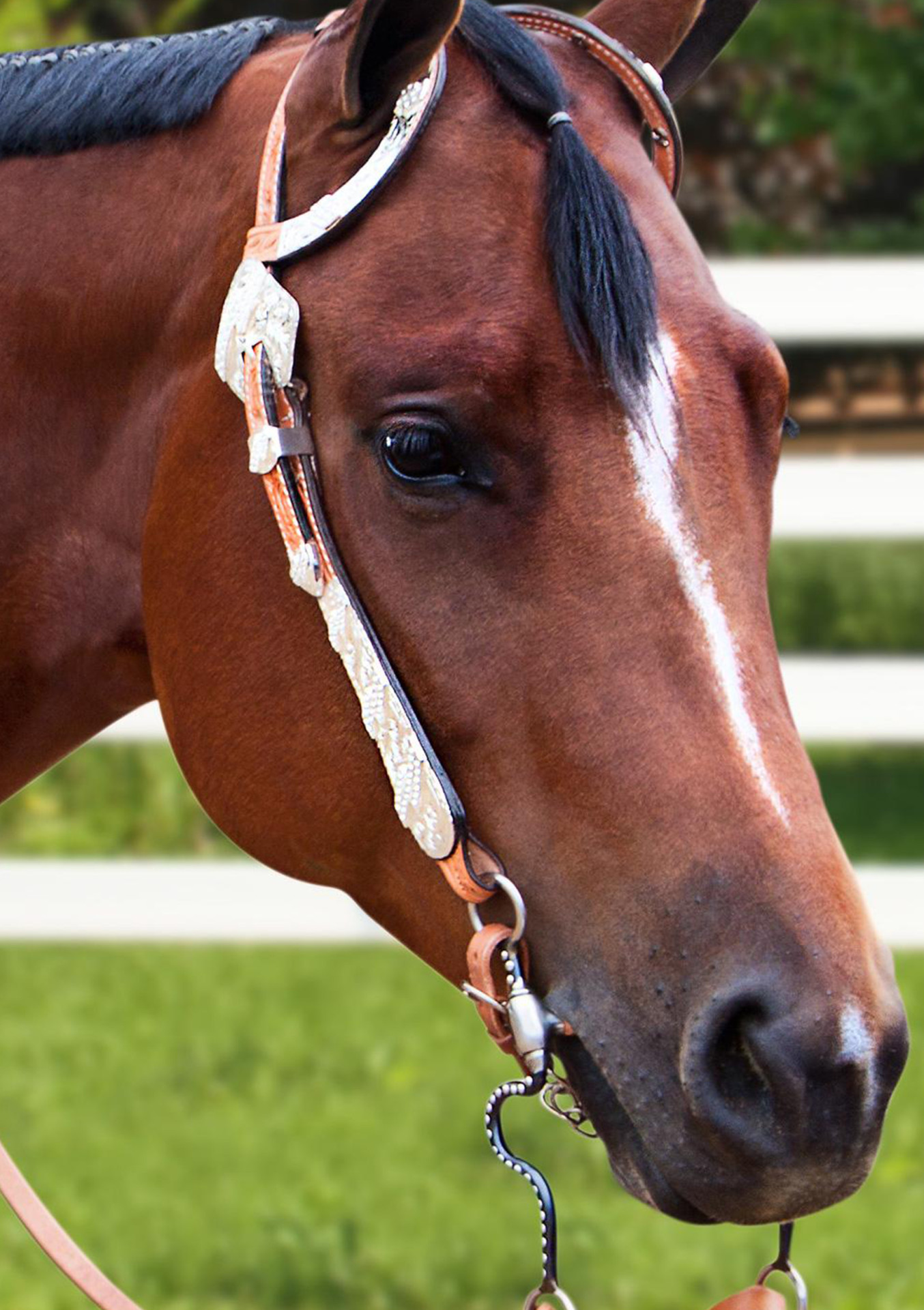westerntrensen-leder-show-und-ranch-kopfst-cke-showtack-de